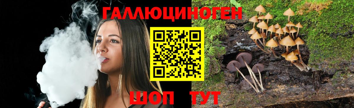 Псилоцибиновые грибы Psilocybe  Вход с VPN  Ессентуки 